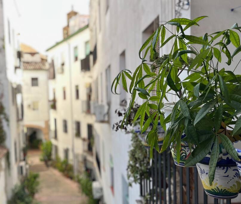Apartamento Kenza Córdoba Exteriör bild